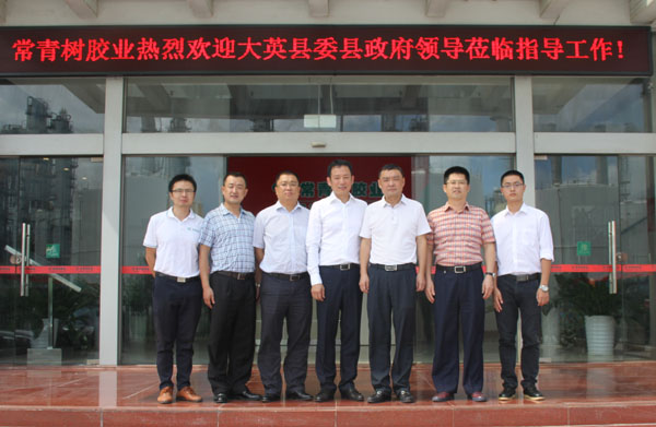 熱烈歡迎四川大英縣委縣政府領(lǐng)導(dǎo)一行蒞臨我司參觀(guān)指導(dǎo)