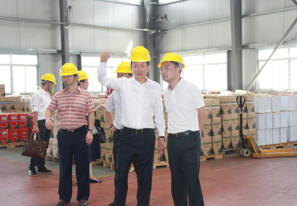 熱烈歡迎四川大英縣委縣政府領(lǐng)導(dǎo)一行蒞臨我司參觀(guān)指導(dǎo)